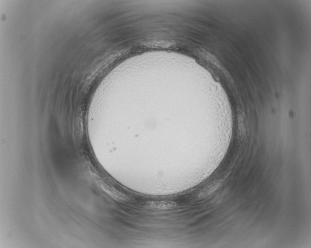 X0000052550541200507291918