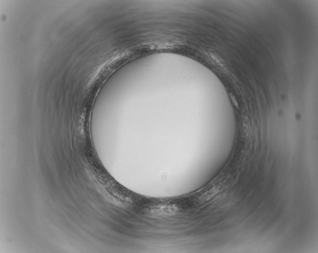 X0000052550543200507291918