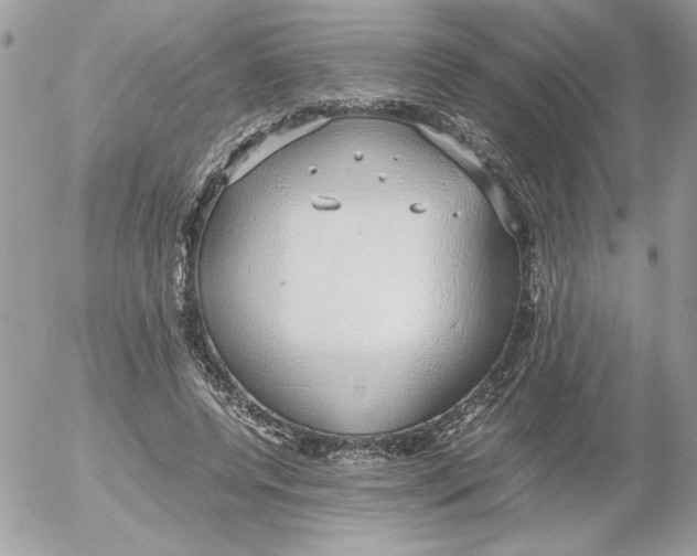 X0000052550544200507291918