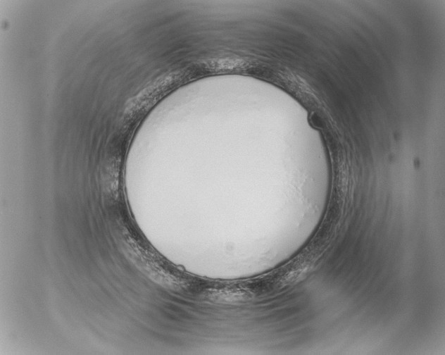 X0000052550545200507291918