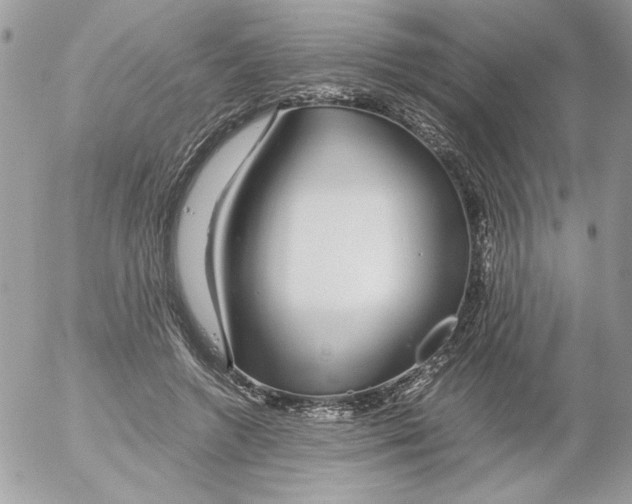 X0000052550546200507291918