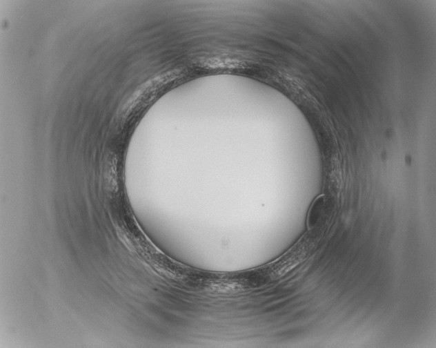 X0000052550547200507291918