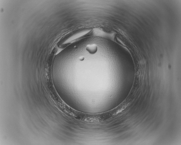 X0000052550548200507291918