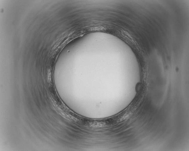 X0000052550549200507291918