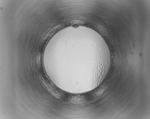 X0000052550550200507291918