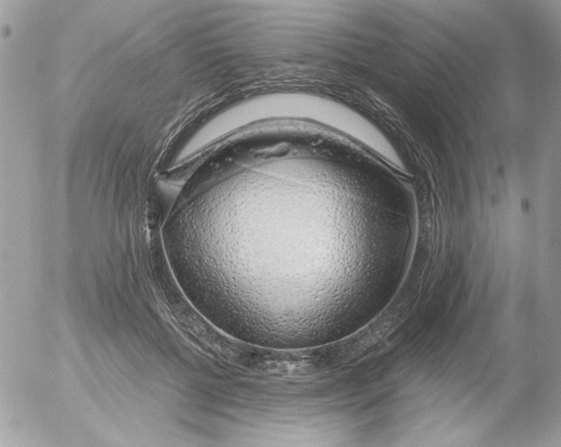 X0000052550552200507291918