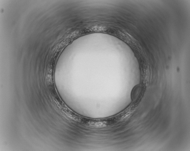 X0000052550553200507291918