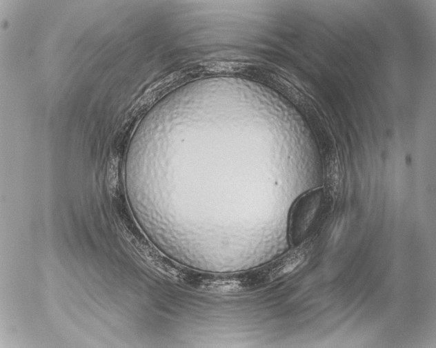 X0000052550554200507291918