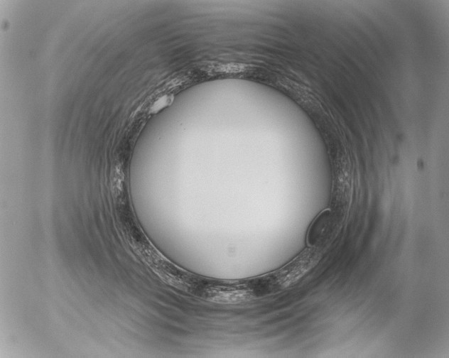 X0000052550555200507291918