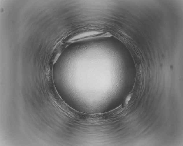 X0000052550556200507291918