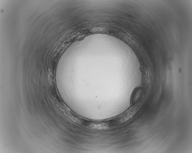 X0000052550557200507291918