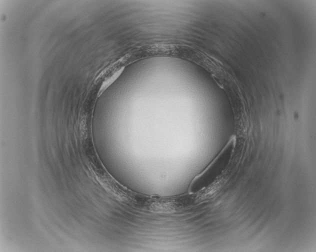 X0000052550560200507291918