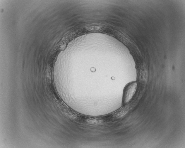 X0000052550561200507291918