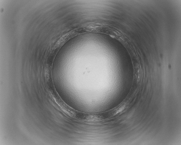 X0000052550562200507291918