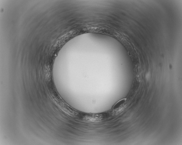 X0000052550563200507291918