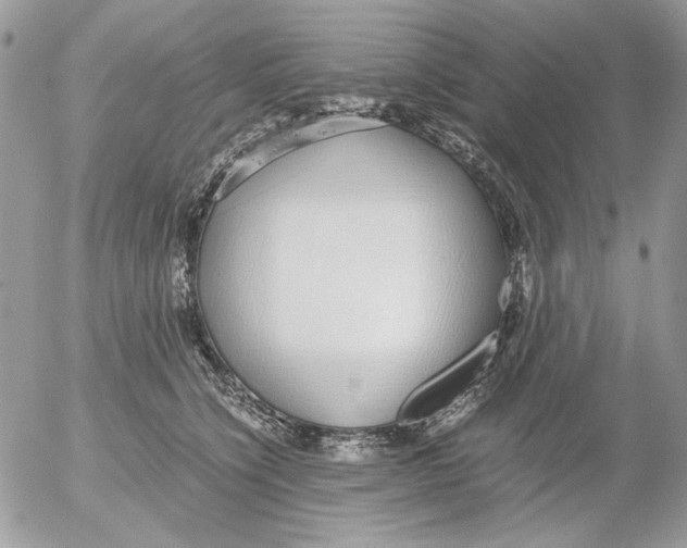 X0000052550564200507291918