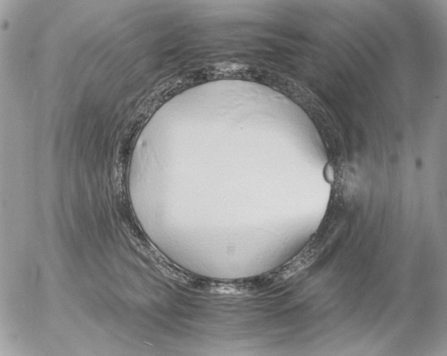 X0000052550565200507291918