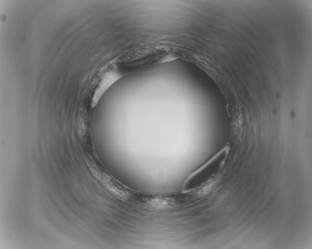 X0000052550566200507291918