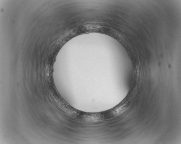 X0000052550567200507291918