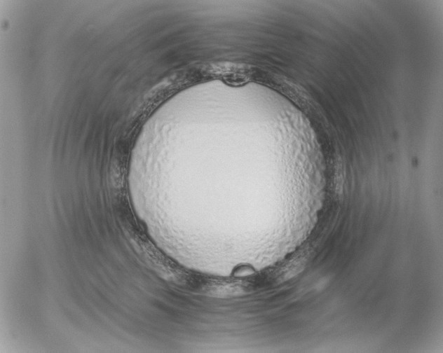 X0000052550569200507291919