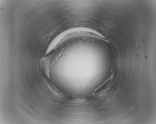 X0000052550570200507291919