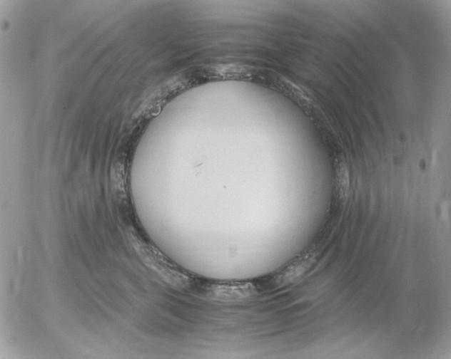 X0000052550571200507291919