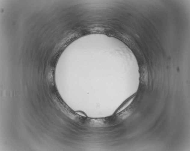 X0000052550573200507291919