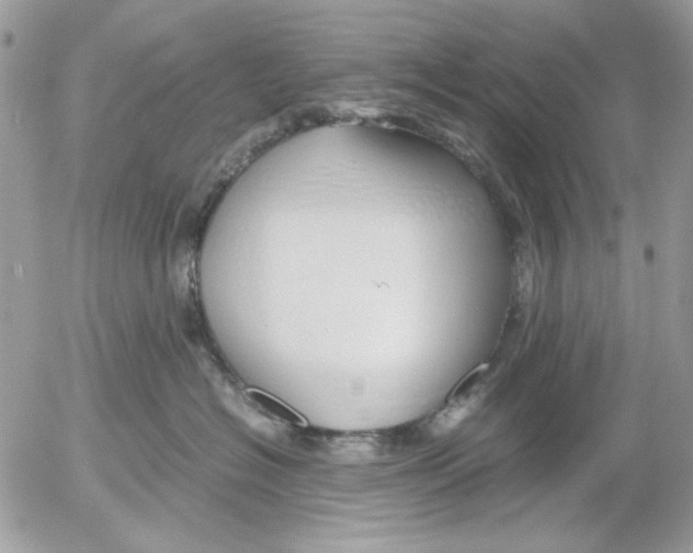 X0000052550574200507291919