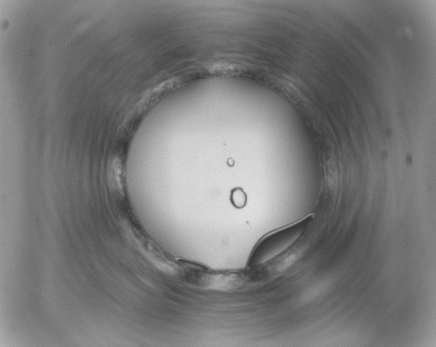 X0000052550575200507291919