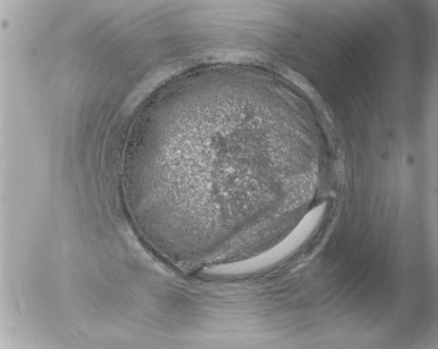 X0000052550577200507291918