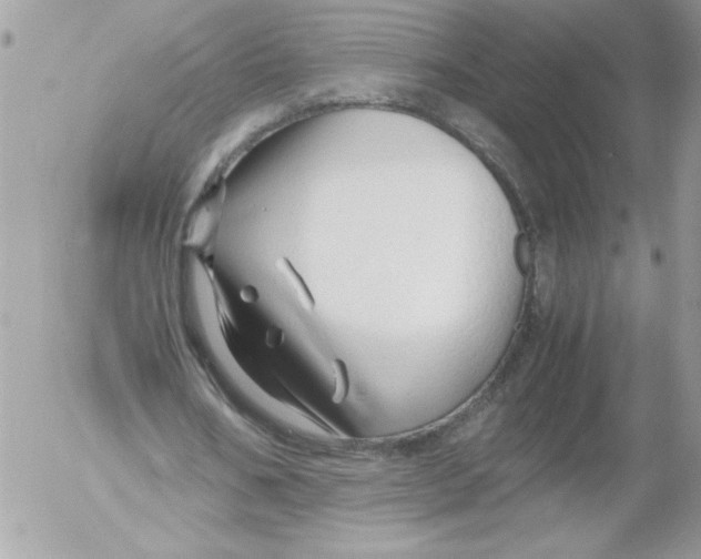 X0000052550578200507291918