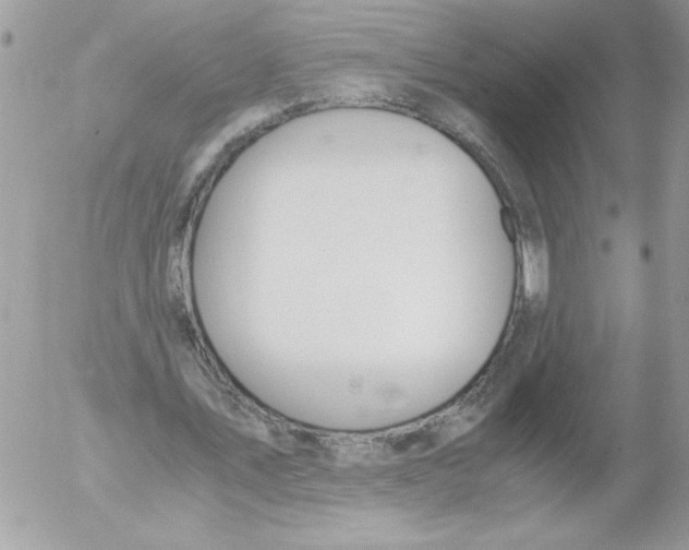 X0000052550579200507291918