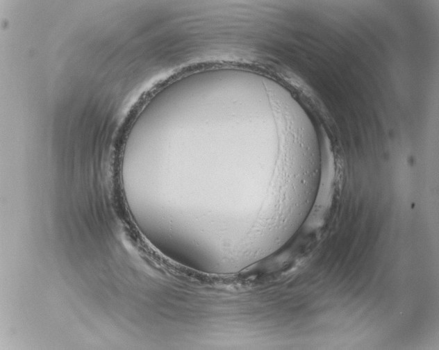 X0000052550580200507291918