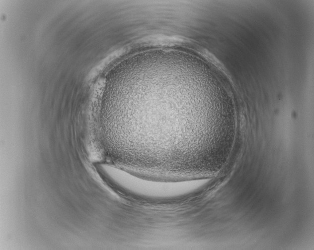 X0000052550581200507291918