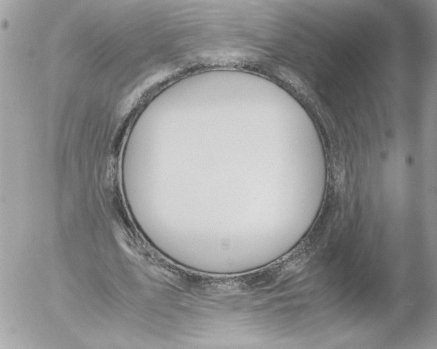 X0000052550583200507291918