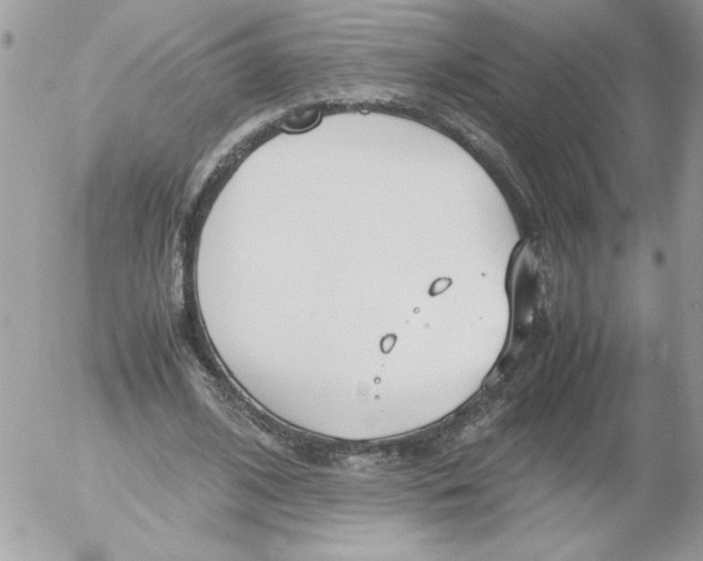 X0000052550584200507291918