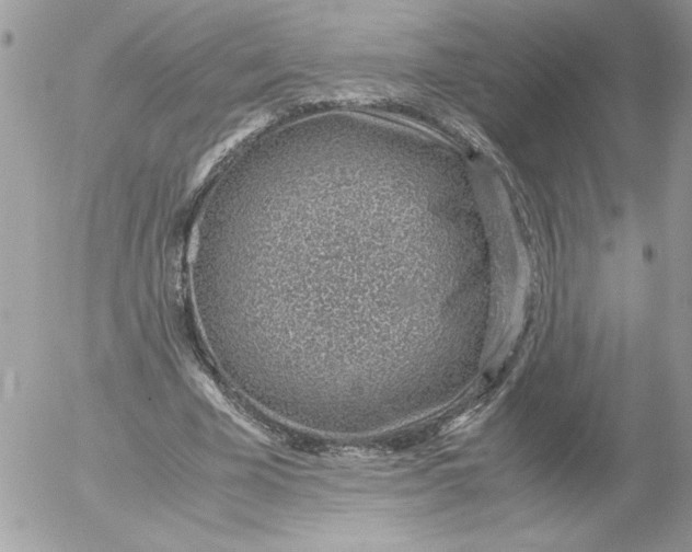 X0000052550585200507291918