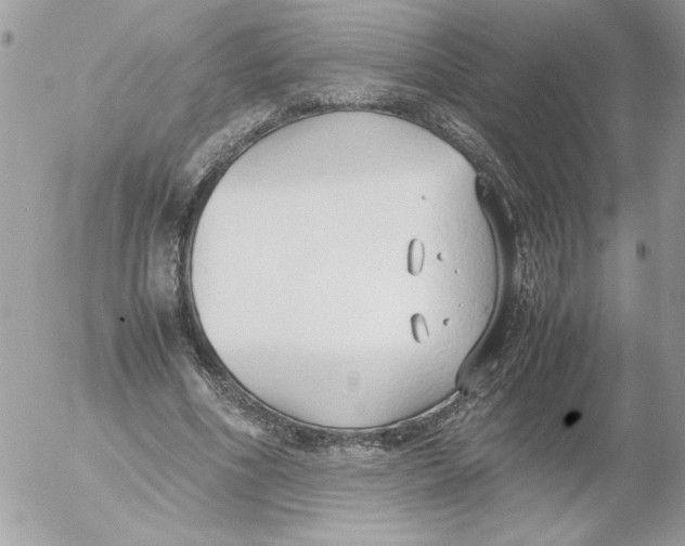 X0000052550586200507291918