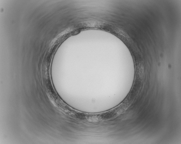 X0000052550587200507291918