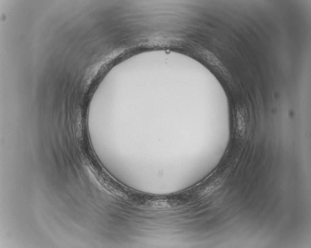 X0000052550588200507291918