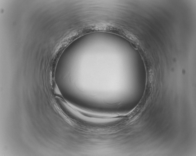 X0000052550589200507291918