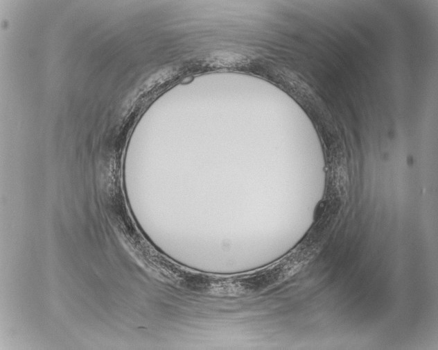 X0000052550591200507291918