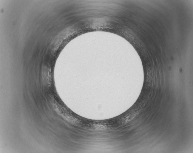 X0000052550592200507291918