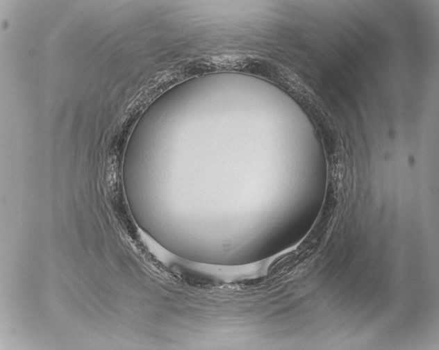 X0000052550593200507291918