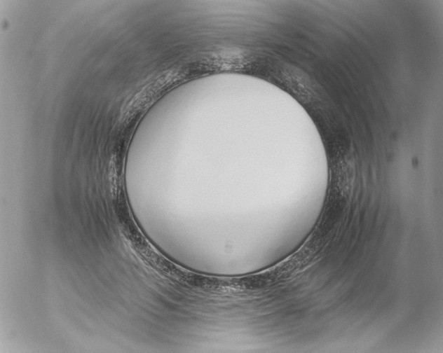 X0000052550594200507291918