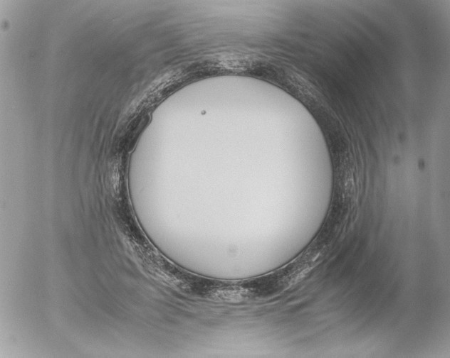 X0000052550595200507291918