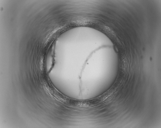 X0000052550596200507291918