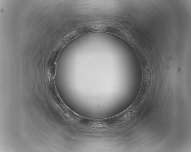 X0000052550597200507291918