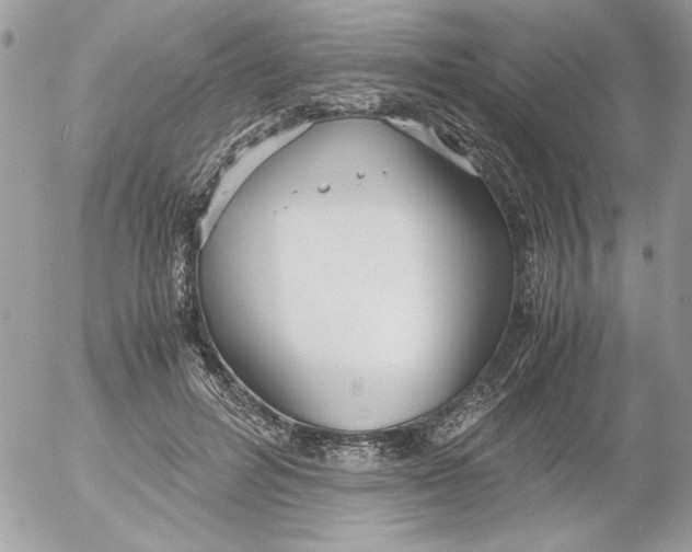 X0000052550600200507291917