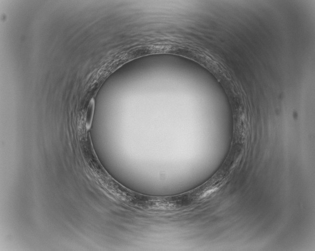 X0000052550601200507291917